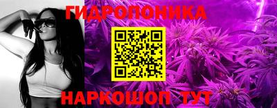 спиды Заводоуковск