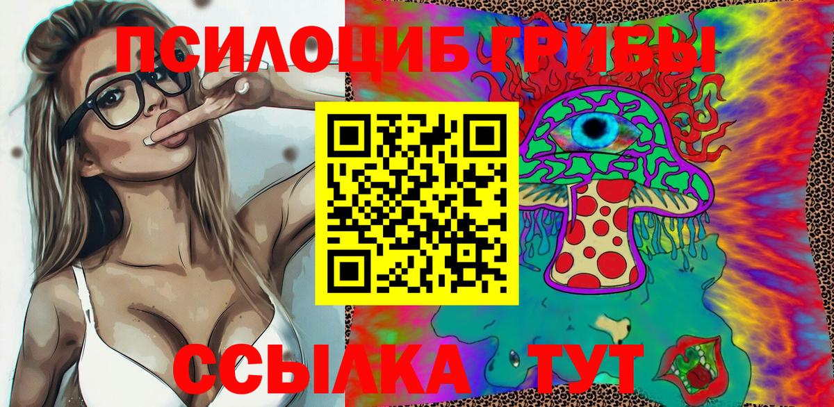 Людиново  Галлюциногенные грибы мицелий  Вход с VPN 